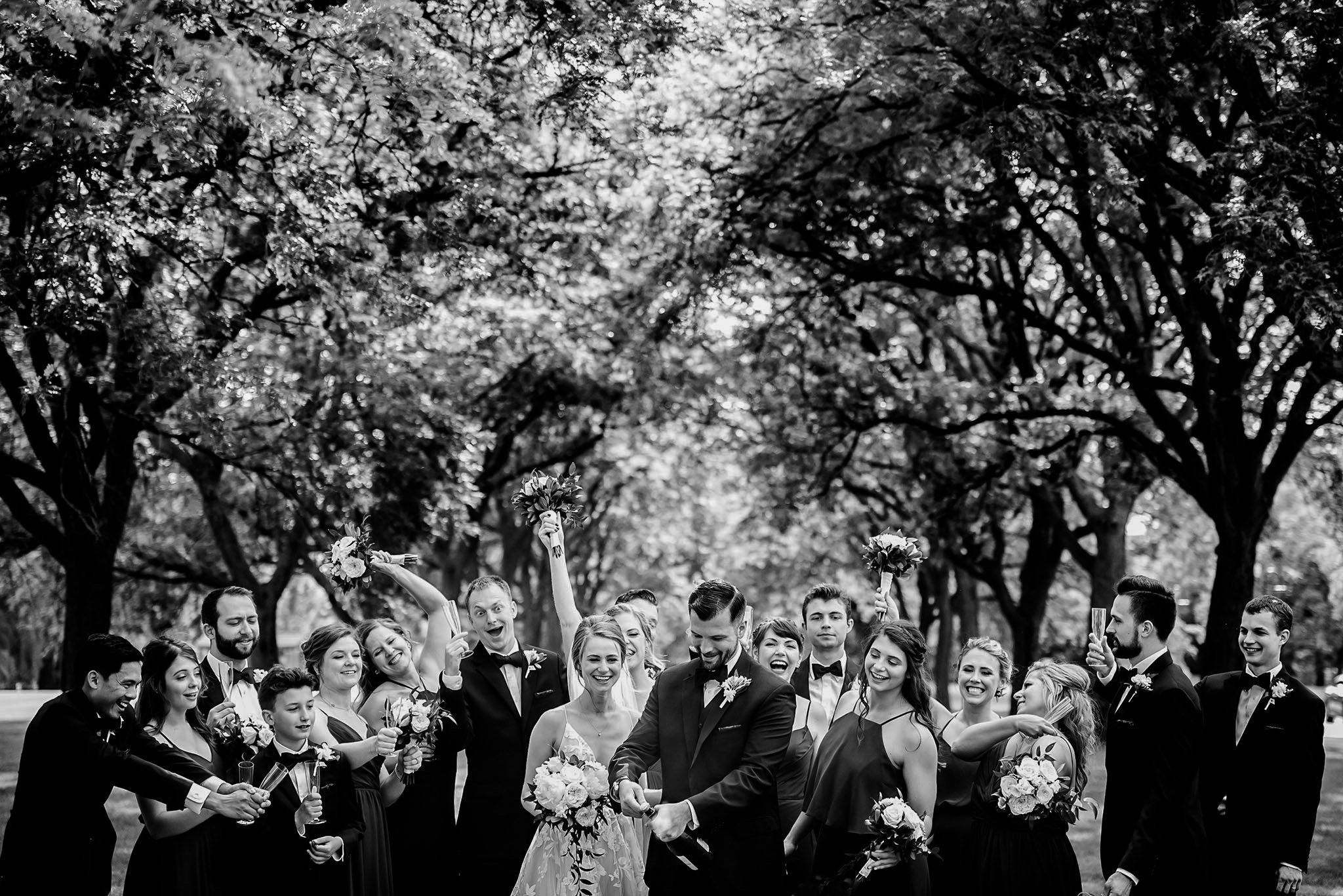 bride and groom with wedding party at cantigny park