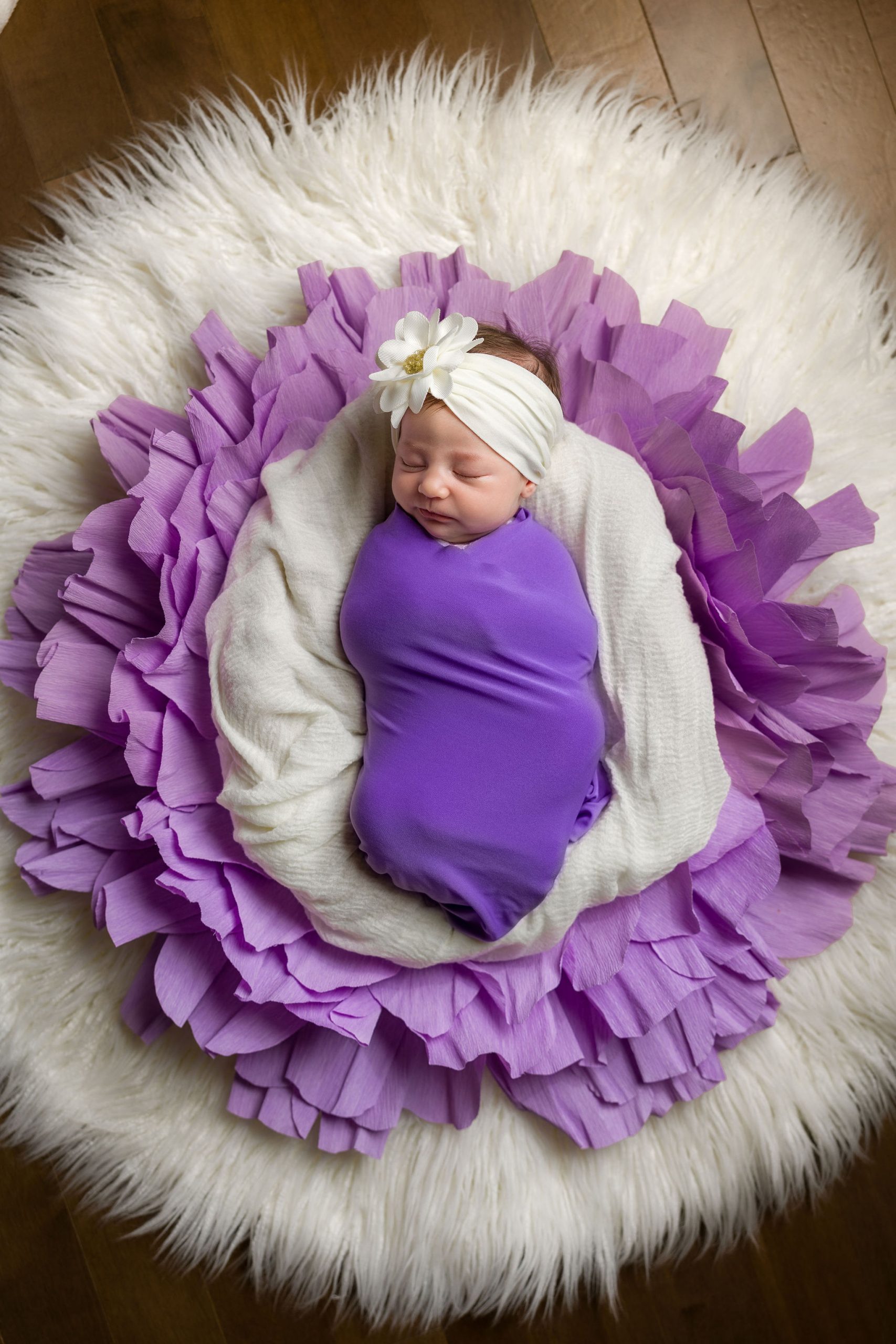 Potoyu Baby Portrait Photography