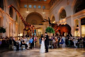 the field museum chicago