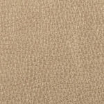 gold digger 150x150 1