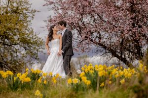 dixboro-house-wedding-ann-arbor